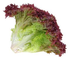 SALADE LOLO ROUGE PIECE