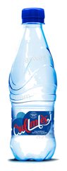 EAU GAZEUSE 33CL OULMES